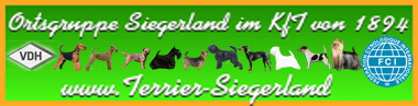 Banner der Ortsgruppe Siegerland
